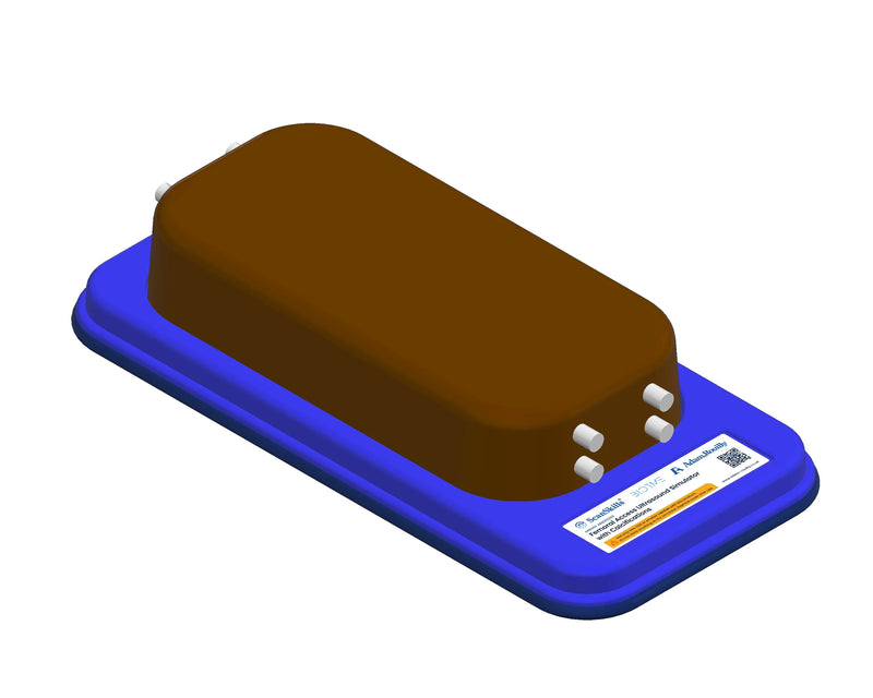 Tải hình ảnh vào trình xem Thư viện, Femoral Access Ultrasound Simulator with Calcifications