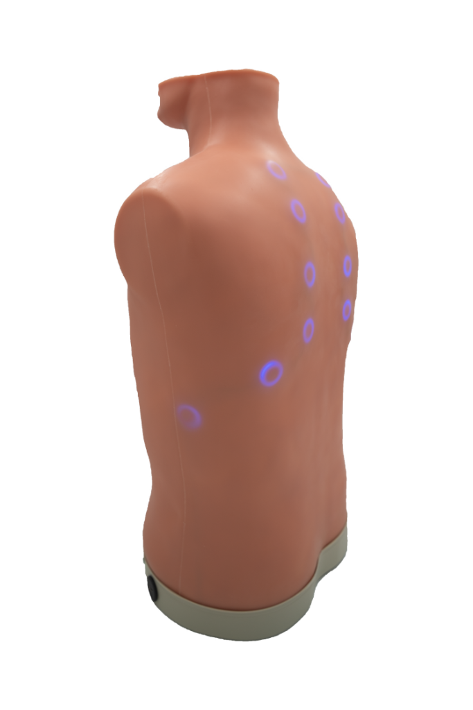 Load image into Gallery viewer, Auscultation Trainer 2.0