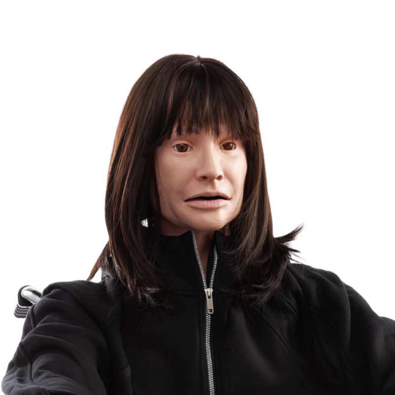 Load image into Gallery viewer, DANi Patient Skills Trainer