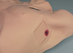 Load image into Gallery viewer, Chest Tube Manikin