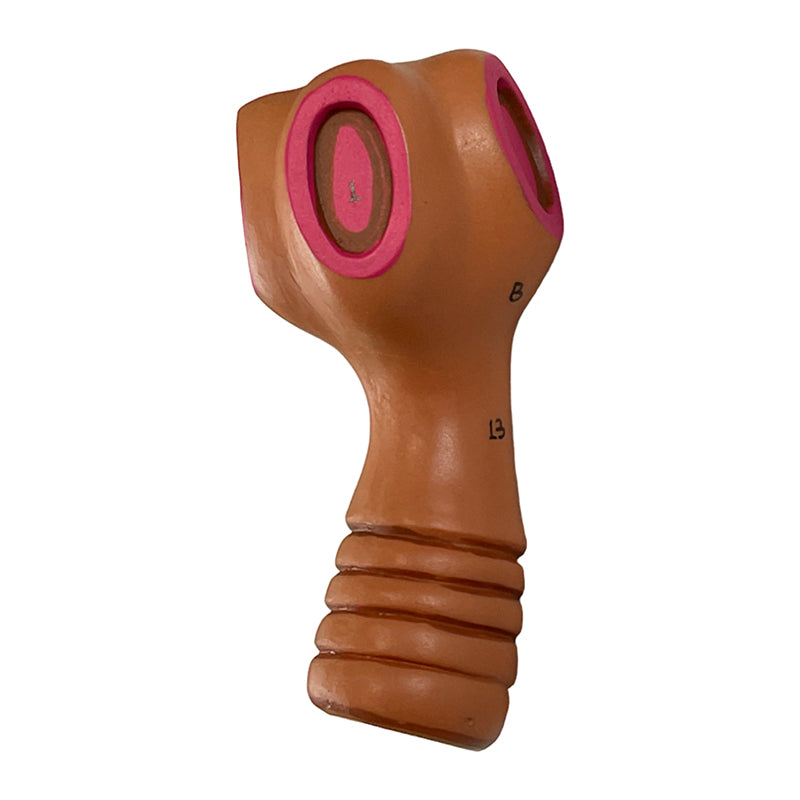 Load image into Gallery viewer, Taenia Saginata and Taenia Solium Comparison Model