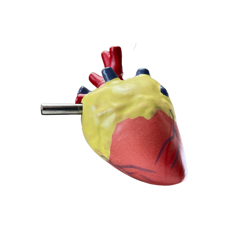 Load image into Gallery viewer, Chicken Anatomy Model, 8-Parts