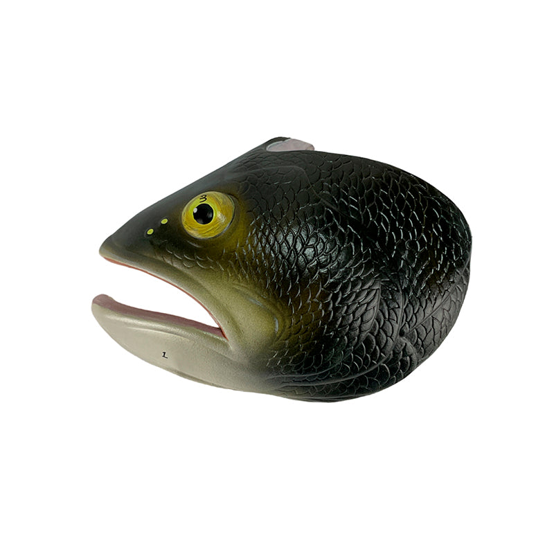 Load image into Gallery viewer, Fish Model, 5-Parts