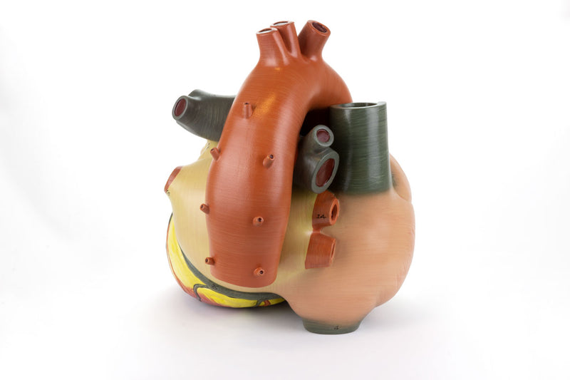 Load image into Gallery viewer, Heart Model, 3X Enlarged