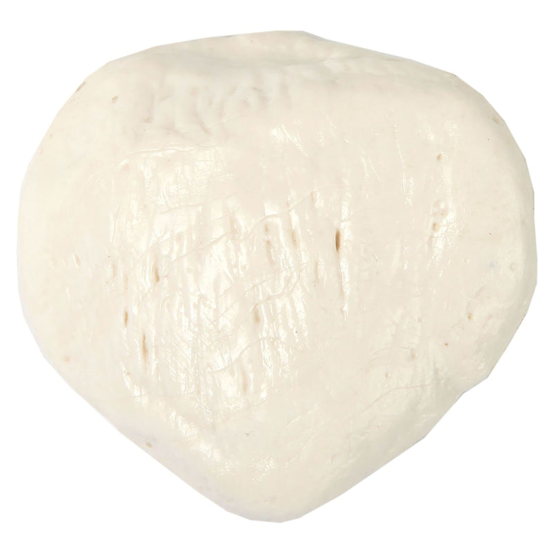 将图像加载到画廊查看器中,Patella Model, Male