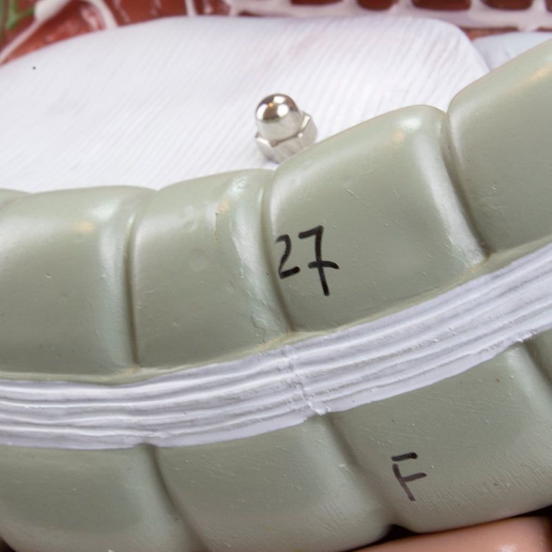 Load image into Gallery viewer, Digestive System Model, 3 Parts