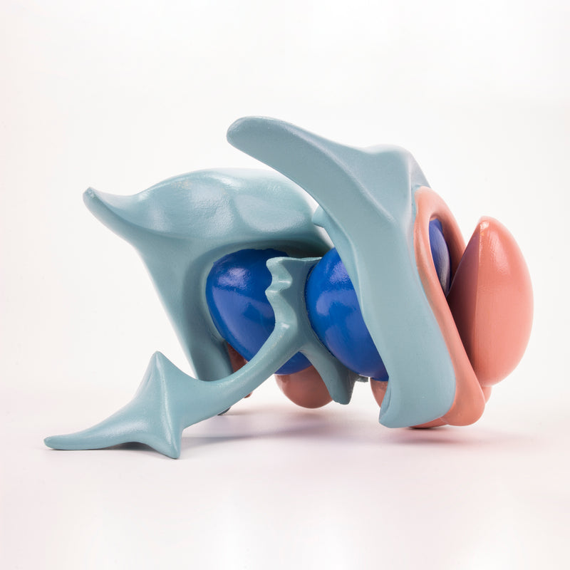 Load image into Gallery viewer, Cerebral Ventricle & Basal Nucleus Model