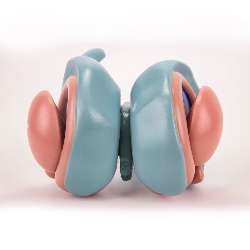 Load image into Gallery viewer, Cerebral Ventricle & Basal Nucleus Model