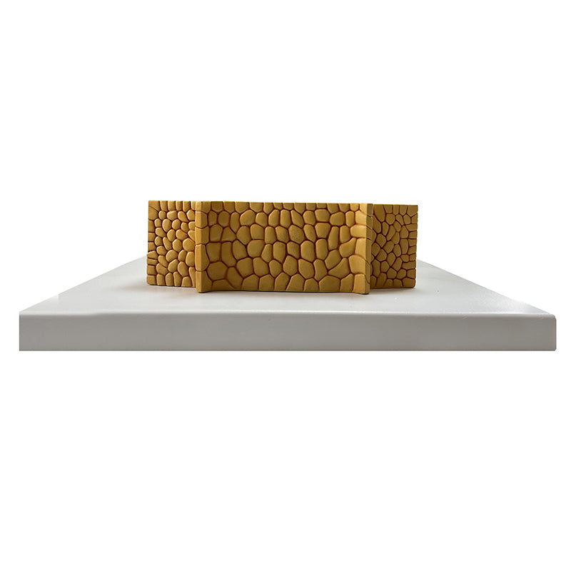 Load image into Gallery viewer, Gymnosperm Stem Cross Section Model, 350X Enlarged