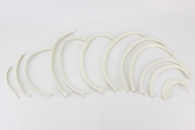 Load image into Gallery viewer, Disarticulated Ribs, Set of 12