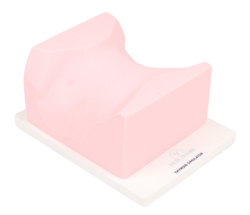 गैलरी व्यूअर में छवि लोड करें, SonoEZ Ultrasound Trainer - Thyroid Gland