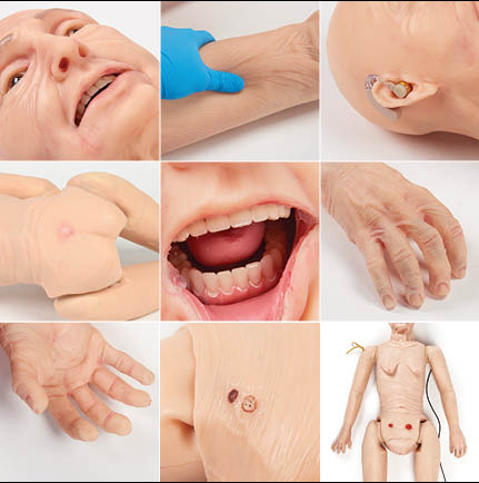 Afbeelding laden in galerijweergave, TERi™ Ouderenauscultatietrainer