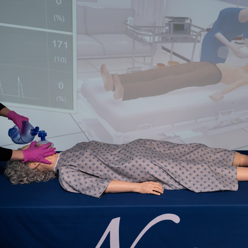 갤러리 뷰어에 이미지 로드, NextGen TERi™ Immersive Experience