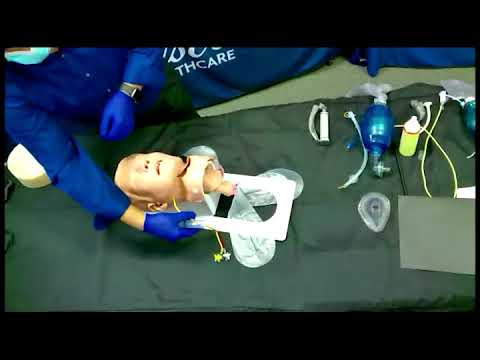 Load and play video in Gallery viewer, Airway Larry' Adult Airway Management Trainer with Stand