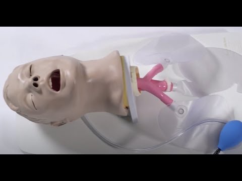 Load and play video in Gallery viewer, Airway Larry' Adult Airway Management Trainer with Stand