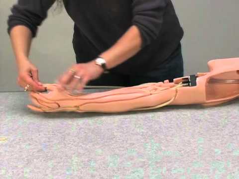 Load and play video in Gallery viewer, Life/form® Advanced Venipuncture and Injection Arm Vein Kit