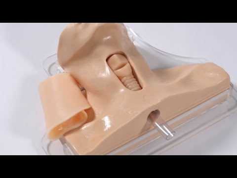 Load and play video in Gallery viewer, Life/form® Cricothyrotomy Simulator