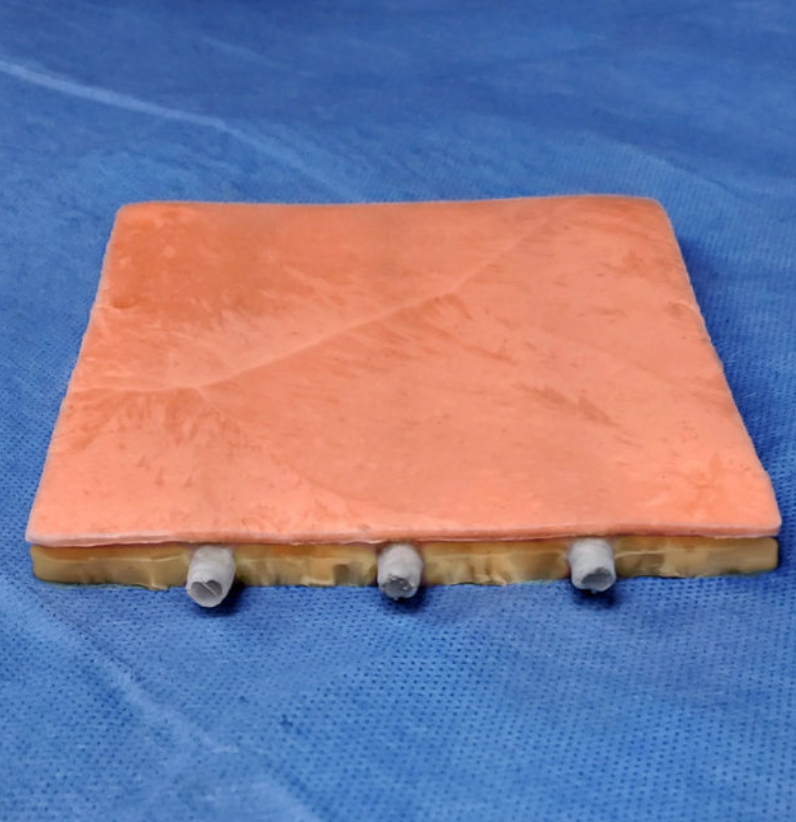 Chargez l'image dans la visionneuse de la galerie, Modèle de ponction veineuse à veines profondes et périphériques