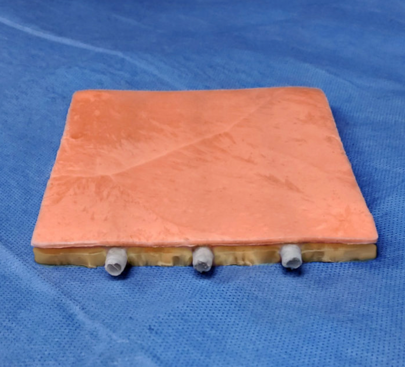 Muat gambar ke penampil Galeri, Model Vena Tertanam Dalam dan Perifer dengan Jarum Suntik