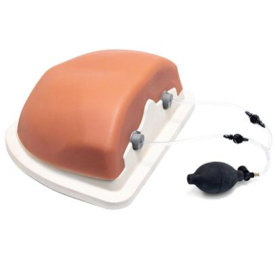 Load image into Gallery viewer, Image Guided Thoracic Spinal Injection Trainer