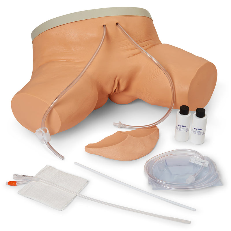 Load image into Gallery viewer, Life/form® Female Catheterization Simulator