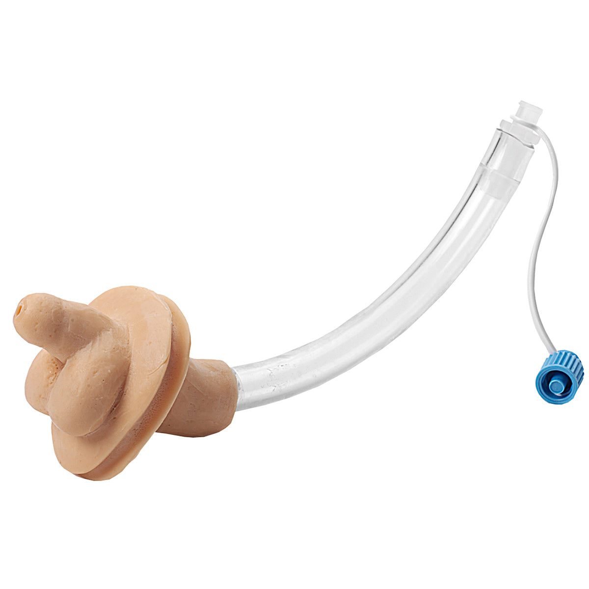 交換用男性生殖器インサート｜乳児カテーテル訓練用パーツ – Nasco
