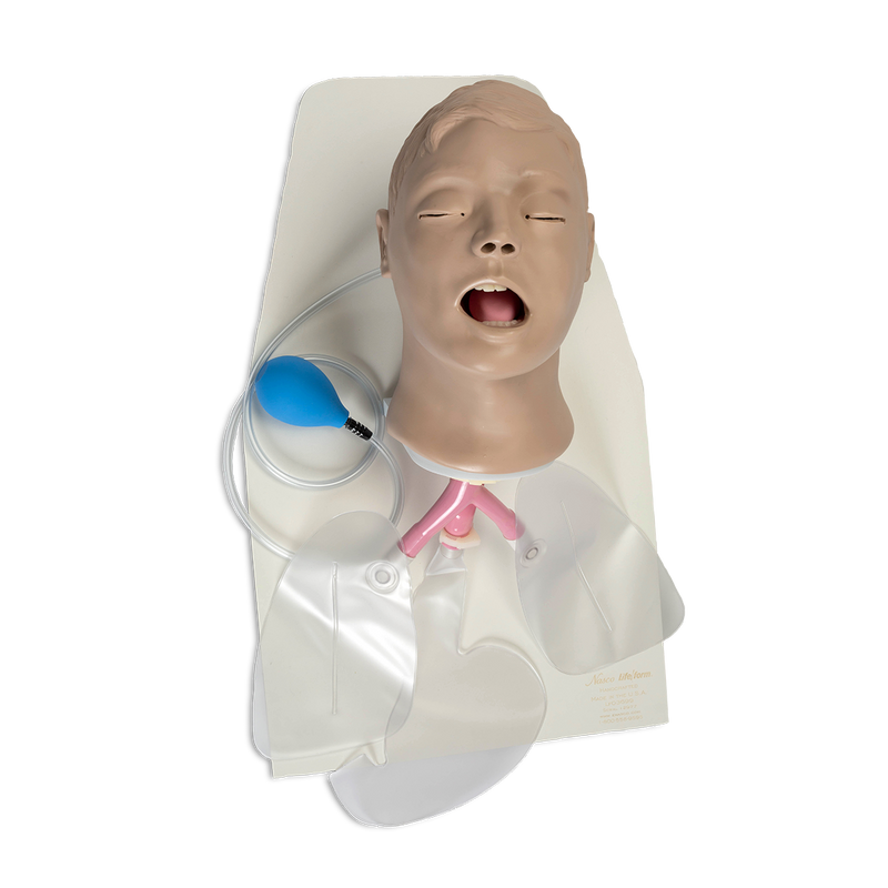 Load image into Gallery viewer, Airway Larry' Adult Airway Management Trainer with Stand