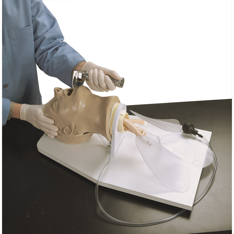Load image into Gallery viewer, Airway Larry' Adult Airway Management Trainer with Stand