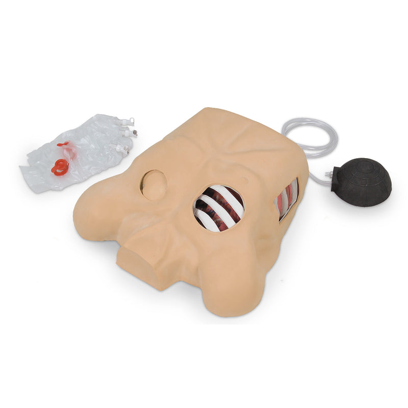 Load image into Gallery viewer, Chest Tube Manikin