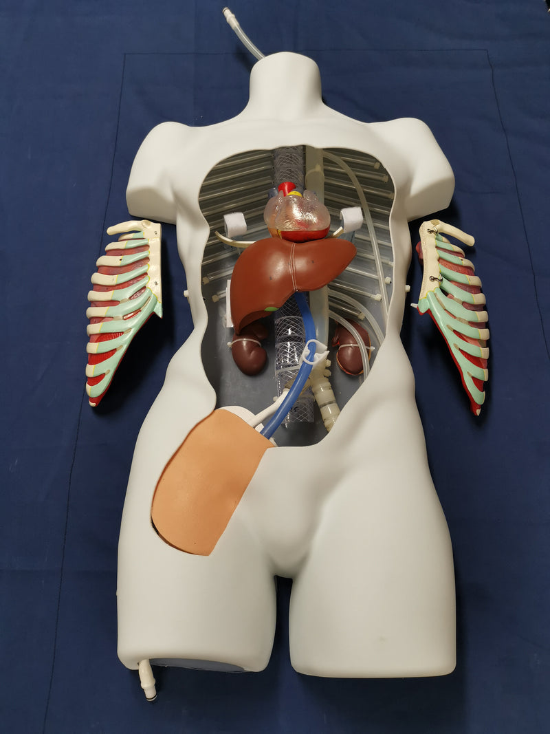 Load image into Gallery viewer, PerfusionSim™
