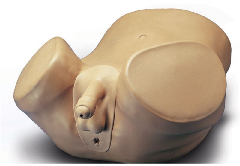 Carregue imagem no visualizador da galeriaCuidados Avançados ao Paciente Próstata Masculina