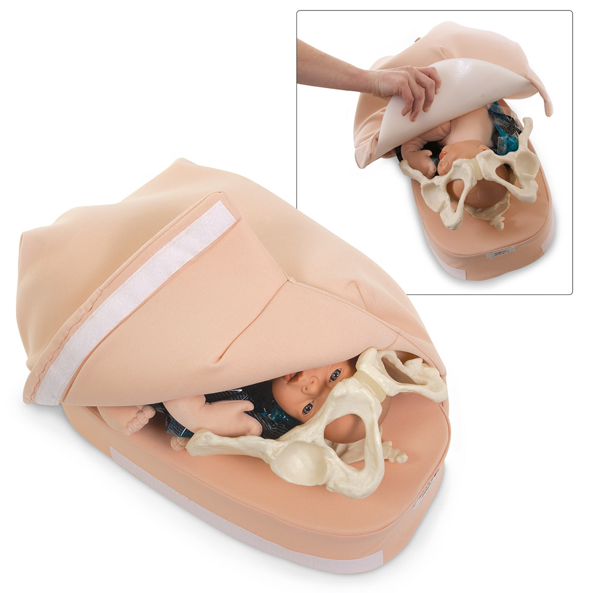 Abdominal Palpation Model [SKU: SB23476] – Nasco Healthcare