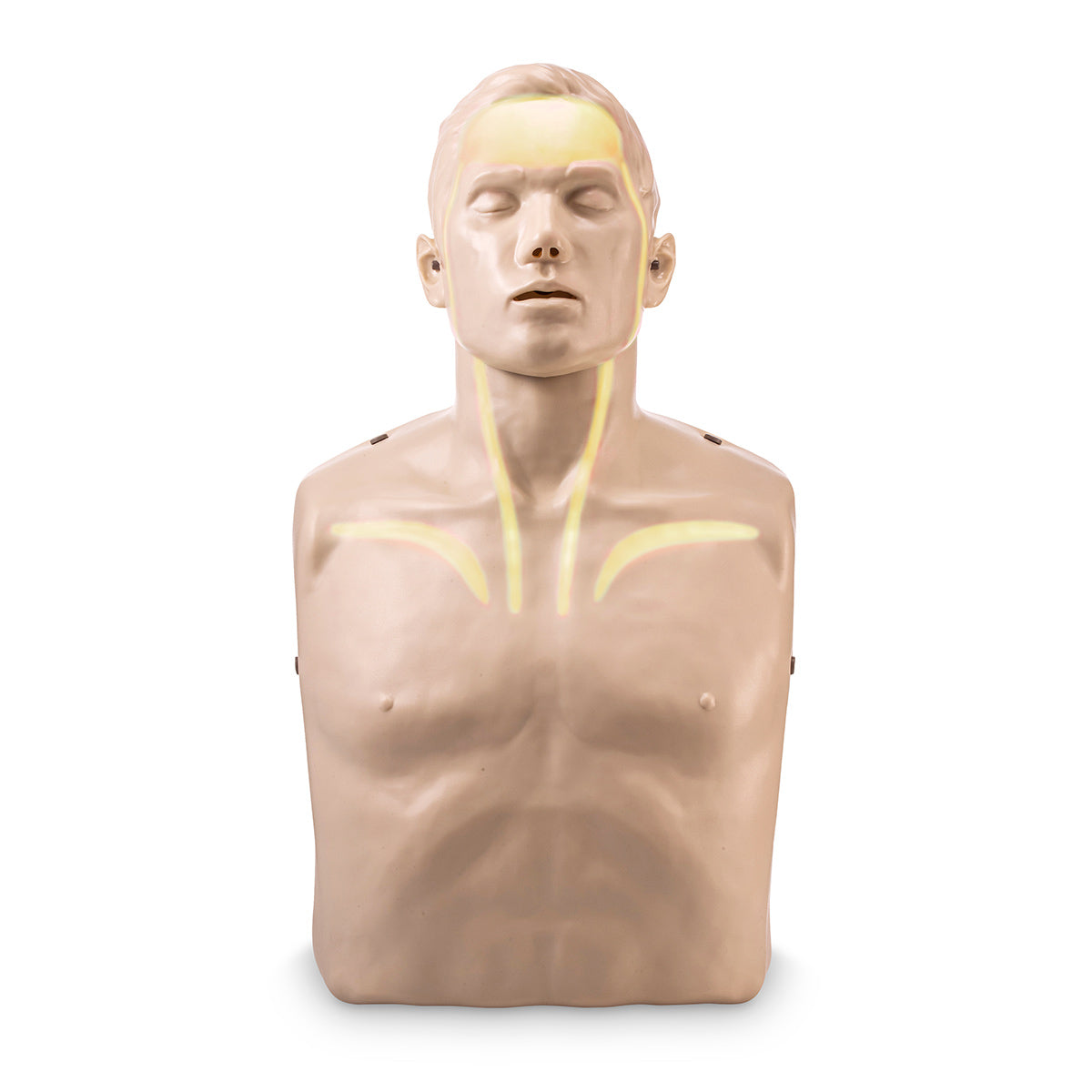 CPRトレーニング用マネキン 本体 Brayden CPR トレーニングマネキン 白色インジケーターライト付き
