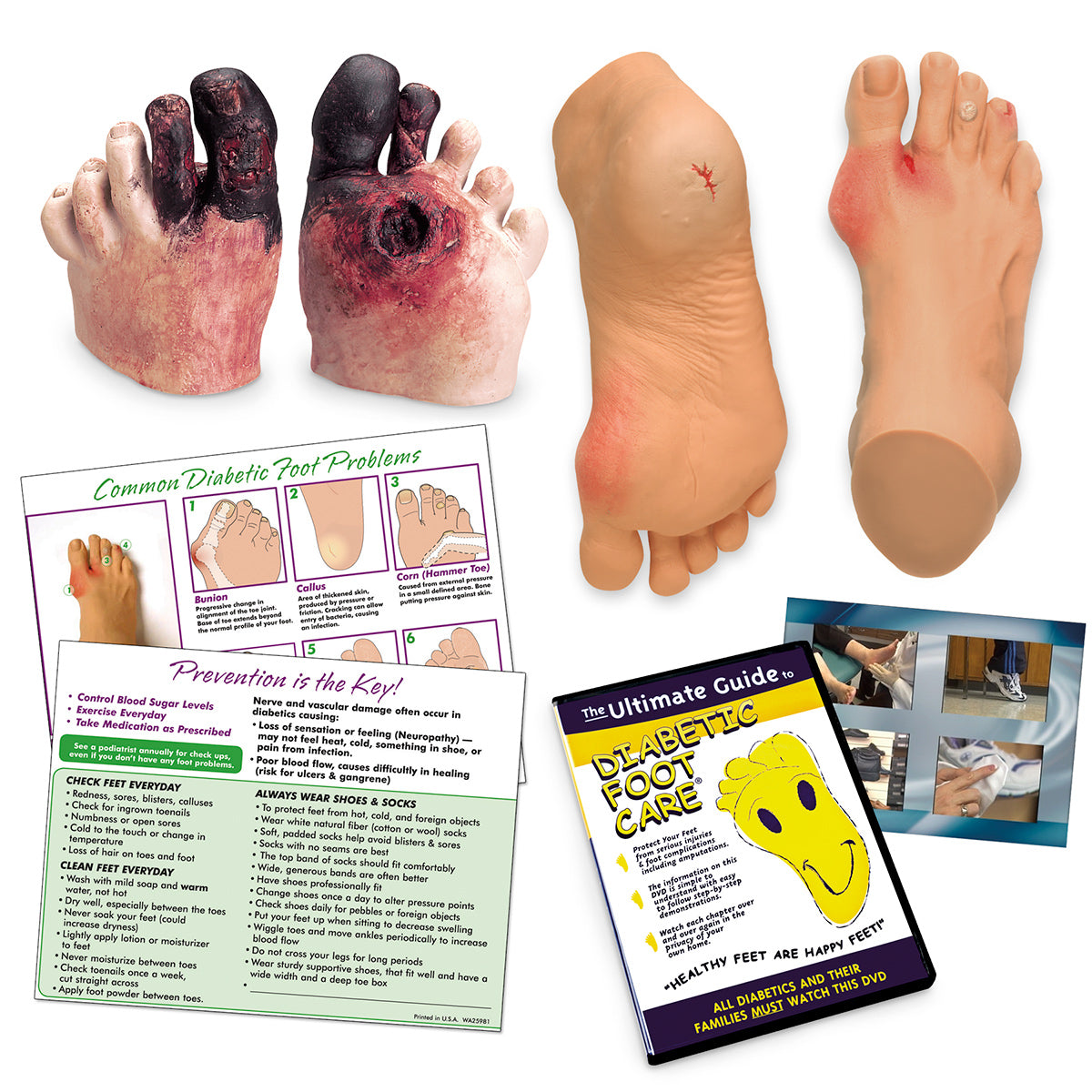 Life/form® Complete Diabetic Foot Care Education [SKU WA20]