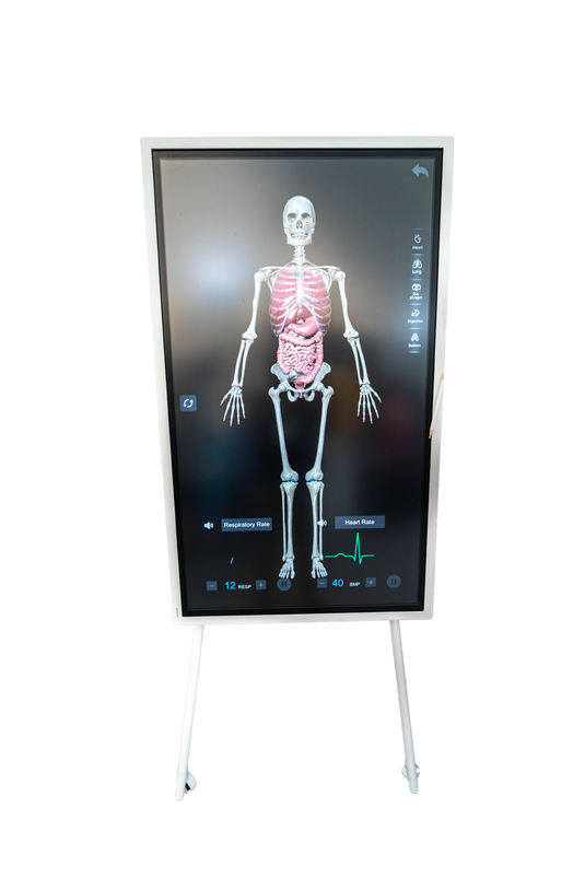 Sym Anatomy Virtual Anatomy Software [SKU: GB241201]