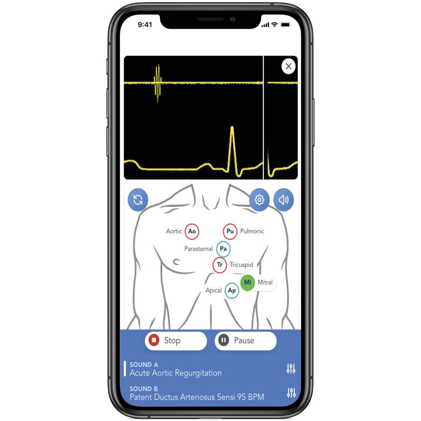 Mannequin d'auscultation SAM4 Plus, foncé [SKU: 1025099]