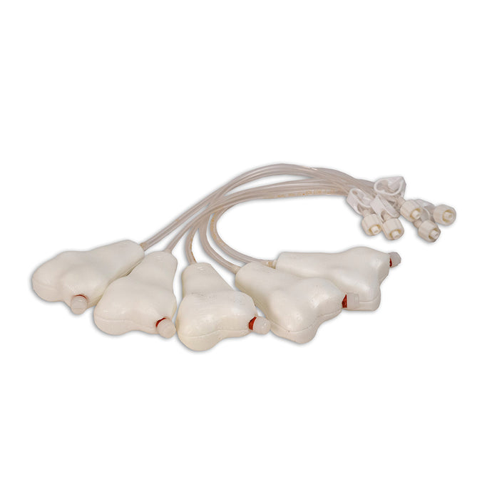 Penny Pediatric Femur, Pkg. of 5 [SKU: V4137]