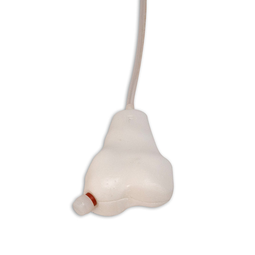 Penny Pediatric Femur, Pkg. von 5 [SKU: V4137]