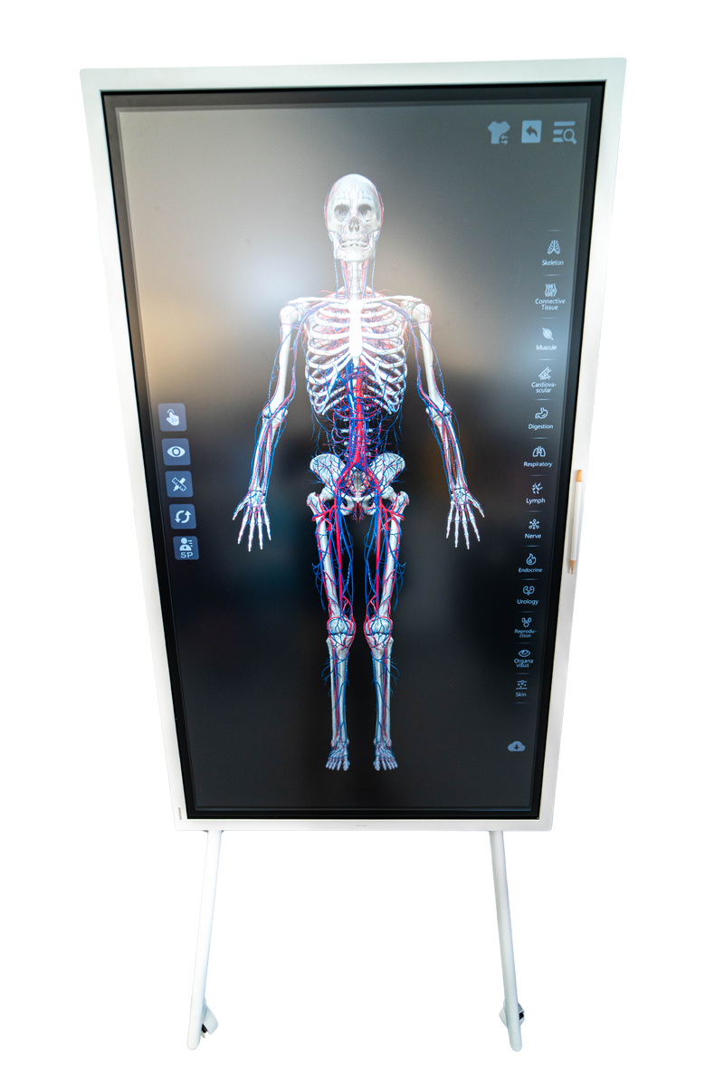 Load image into Gallery viewer, Sym Anatomy Virtual Anatomy Software [SKU: GB241201]
