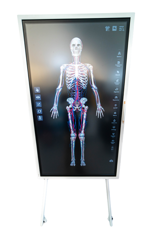 Sym Anatomy Virtual Anatomy Software [SKU: GB241201]