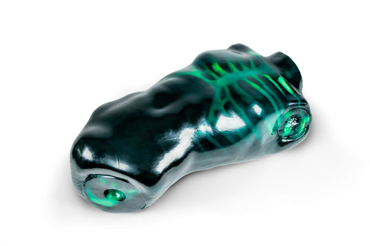 Echo Eddie - Advanced Ultrasound Examination Trainer