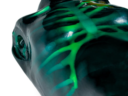 Echo Eddie - Advanced Ultrasound Examination Trainer