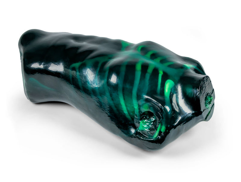 Cargue la imagen en el visor de la galería, Echo Eddie - Advanced Ultrasound Examination Trainer
