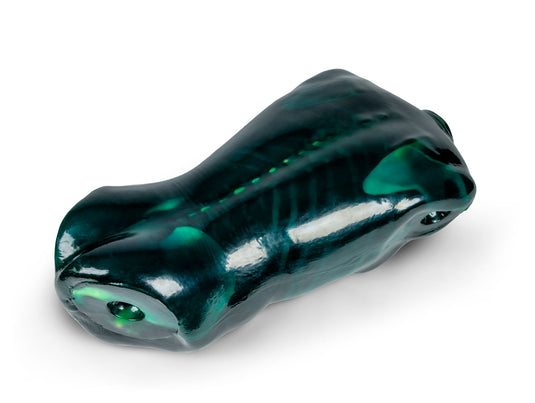 Echo Eddie - Advanced Ultrasound Examination Trainer