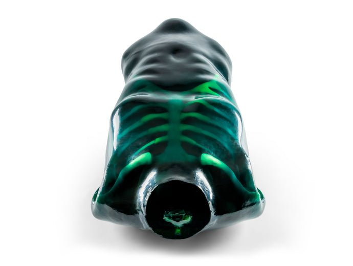 Echo Eddie - Advanced Ultrasound Examination Trainer