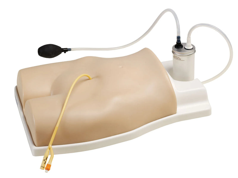 Load image into Gallery viewer, Suprapubic Training Model
