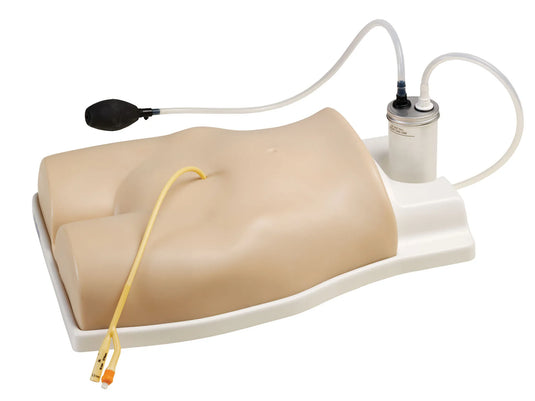 Suprapubic Training Model