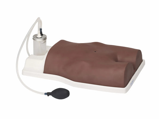 Suprapubic Training Model