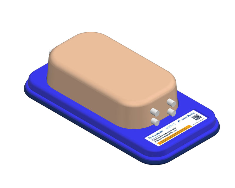 將圖像載入到圖庫檢視器中， Ultrasound Simulator with 2 Femoral Access Routes
