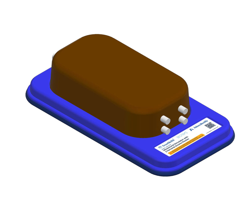將圖像載入到圖庫檢視器中， Ultrasound Simulator with 2 Femoral Access Routes
